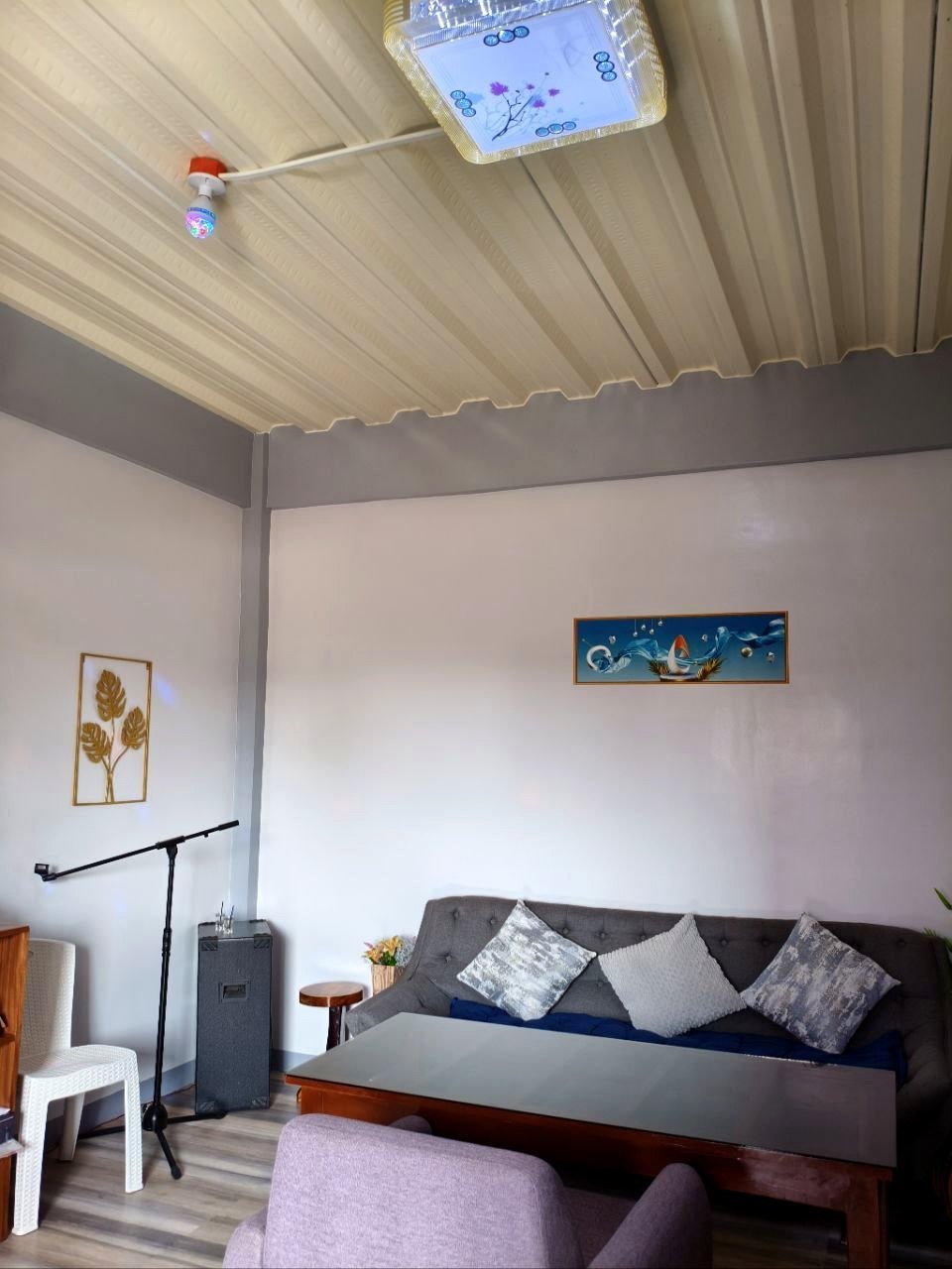Videoke Room